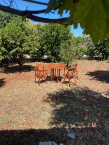 A garden outside Cosy spot near the beach only 45 min from Athens