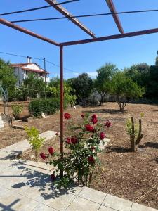 A garden outside Cosy spot near the beach only 45 min from Athens