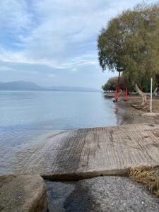 Táj Show holiday homes közelében