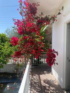 A garden outside Cosy spot near the beach only 45 min from Athens