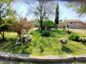 Podere Ronchetto Agriturismo