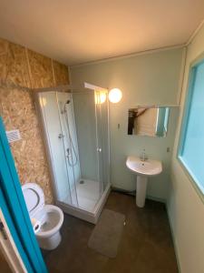 a bathroom with a shower and a toilet and a sink at studio 3- les moulins in Cherbourg en Cotentin +4 photos