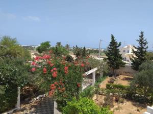 Κήπος έξω από το Détendez-vous et admirez la mer