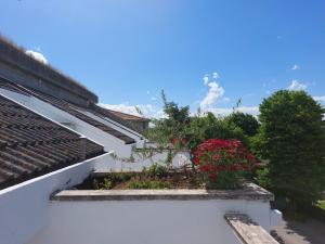 Fotografie z fotogalerie ubytování Lanka Hotel 2 stelle v destinaci Villa Rosa
