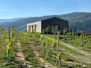 a building in the middle of a field with plants at Refúgio Verde Douro in Marco de Canaveses