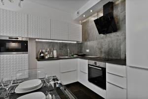 Kuchnia lub aneks kuchenny w obiekcie Apartamenty Prestige Browar Lubicz Stare Miasto