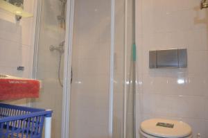 a bathroom with a shower and a toilet at Ferieneinrichtungen-Haus-am-Stein-Haus-2-Saechsische-Schweiz-Koenigstein in Königstein an der Elbe