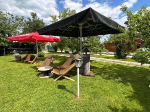 Aed väljaspool majutusasutust Guesthouse Stremljan Ljubljana