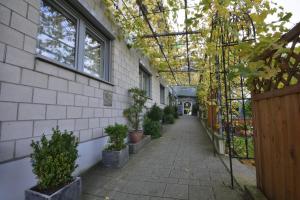 Zahrada ubytování Hotel Nord