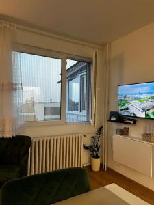 TV a/nebo společenská místnost v ubytování View