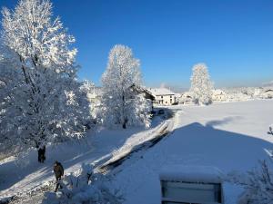 Guesthouse Stremljan Ljubljana talvel