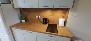 Billede fra billedgalleriet på Apartament centrum Jura Żarki i Żarki + 9 billeder