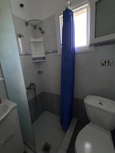 a bathroom with a toilet and a blue shower curtain at Studio Metamorfosi in Metamorfosi +20 photos
