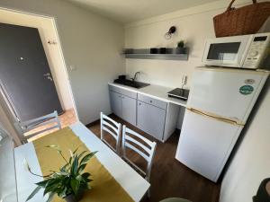 a small kitchen with a white refrigerator and a table at ALEKSANDRA in Wiele