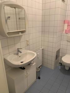 Koupelna v ubytování Einzimmerwohnung am Jakomini