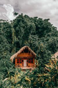 a small house with a thatched roof in a jungle at Magic Green Dentro del Parque Tayrona in El Zaino