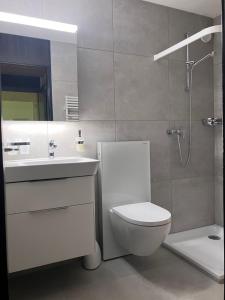 a bathroom with a toilet and a sink and a shower at Apartment Eglantine with stunning views of the Valais Peaks in Crans-Montana +49 photos