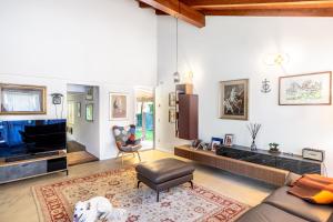 ein Wohnzimmer mit einer Couch und einem Hund in der Unterkunft VILLA NOVELLI con Piscina e ampio Giardino in Castelletto sopra Ticino