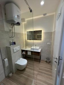 a bathroom with a toilet and a sink at Apartments ABC in Mostar