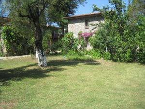 a house with a tree in a yard at Doga Apartments in Kayakoy