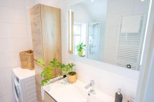 a bathroom with a sink and a mirror at Thuis in Sauwerd in Sauwerd +47 photos