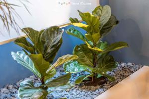 Fotografie z fotogalerie ubytování Blue Perlage, Terre Marine v destinaci Vernazza