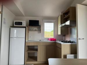 a kitchen with a white refrigerator and a microwave at Altamira Camping in Queveda