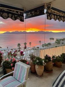 Příroda nedaleko apartmánu + 11 fotografií