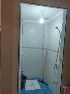un bagno con doccia e WC al suo interno di Dar Aglou Appart 2 a Aglou