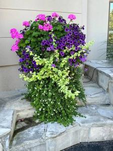 Gallery image of Blue Mountains Bed and Breakfast in Blue Mountains +43 photos