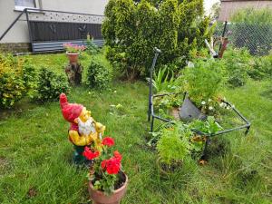 Zahrada ubytování Agroturystyka u Heleny