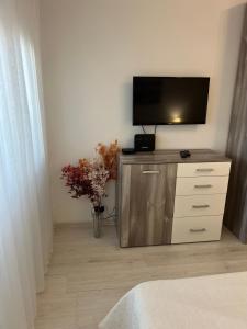 Μια τηλεόραση ή/και κέντρο ψυχαγωγίας στο Tei-Zi apartments2