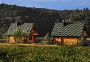 two wooden houses in a field with mountains in the background at Domki nad Soliną in Olchowiec