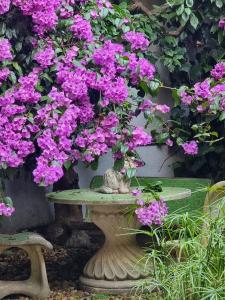 Zahrada ubytování Vatican Fairytale Garden