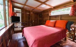 a bedroom with a bed and a tv in a room at A Treehouse the Green Frog Romantic setting & Pool in Puerto Viejo +11 photos