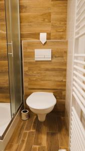a small bathroom with a toilet and a shower at Apartmán NAD RIEKOU in Bešeňová