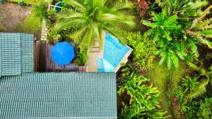 Garður fyrir utan Sloth Romantic Treehouse with plunge pool