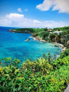 a view of a beach with blue water and trees at Bungalow Rubis in Le Gosier