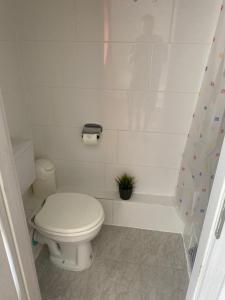 a white bathroom with a toilet and a shower at Zimmer Austernfischer in Dagebüll