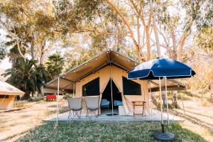 Ein Garten an der Unterkunft White’s Landing Catalina Camp