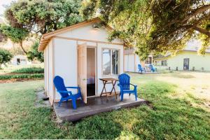 Ein Garten an der Unterkunft White’s Landing Catalina Camp
