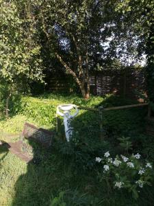 Gallery image of Veldzicht in Zeyen +25 photos