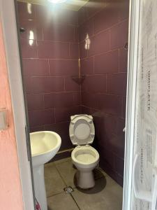 a small bathroom with a toilet and a sink at Wine Garden Apartment in Tbilisi City