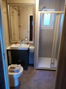 a bathroom with a toilet and a sink and a shower at Mooiste Stekkie in Zeyen +23 photos