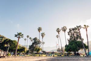 einen Strand mit Palmen und Sonnenschirmen in der Unterkunft White’s Landing Catalina Camp in Avalon