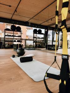 Fitness centrum a/nebo fitness zařízení v ubytování 1280 Krone