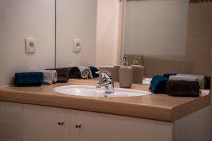 eine Badezimmerablage mit Waschbecken und Spiegel in der Unterkunft Appartement 4 chambres proche Stade de France, parking et balcon sur jardin in Aubervilliers + 23 Fotos