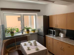 Η κουζίνα ή μικρή κουζίνα στο Casa Crisan +13 φωτογραφίες