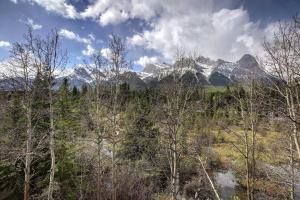 a view of a snowy mountain range with trees at C303 Hidden Gem with MTN andCreek View, Quiet and Private in Canmore