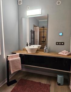 a bathroom with a sink and a mirror at Lazy Olives in Tongeren